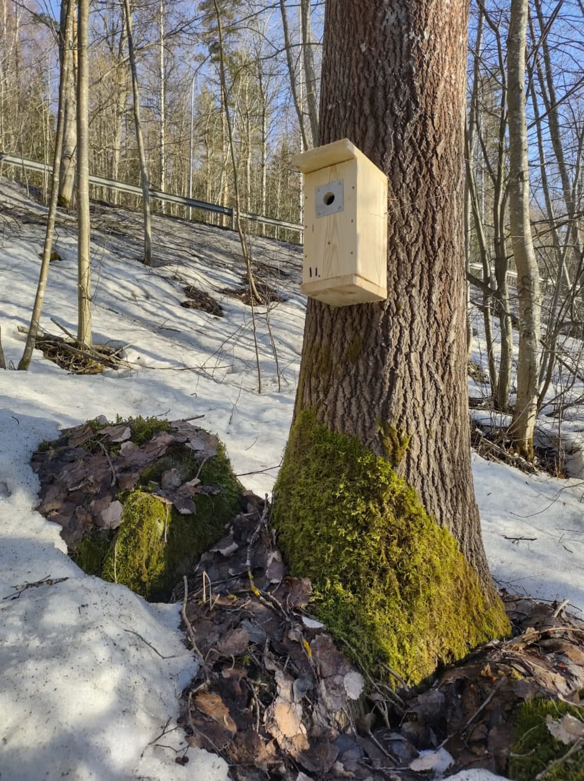Linnunpönttö ripustettuna puuhun.
