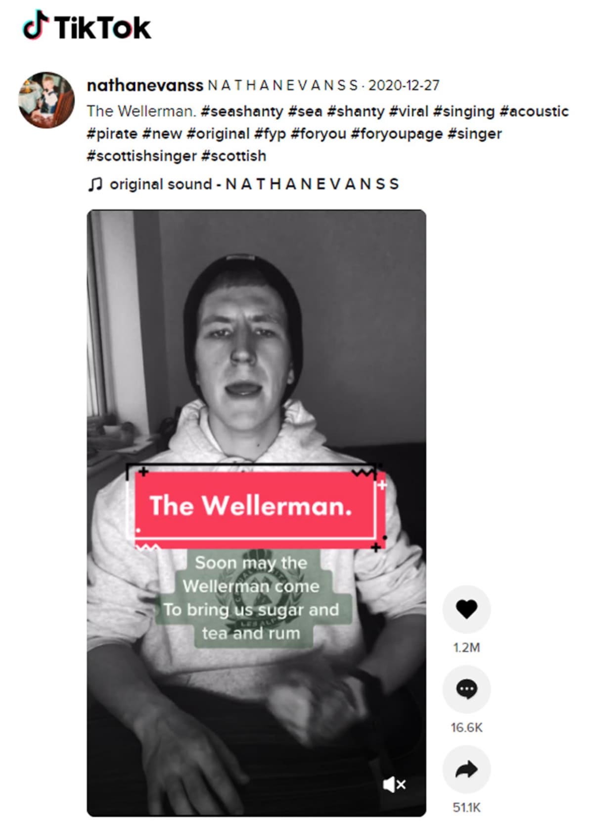 TikTok Wellerman -tili