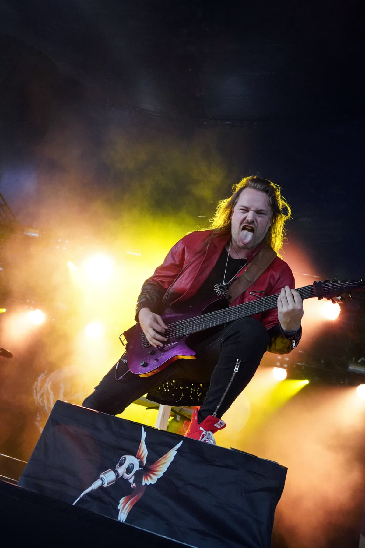 Delain, Timo Somers, Tuska