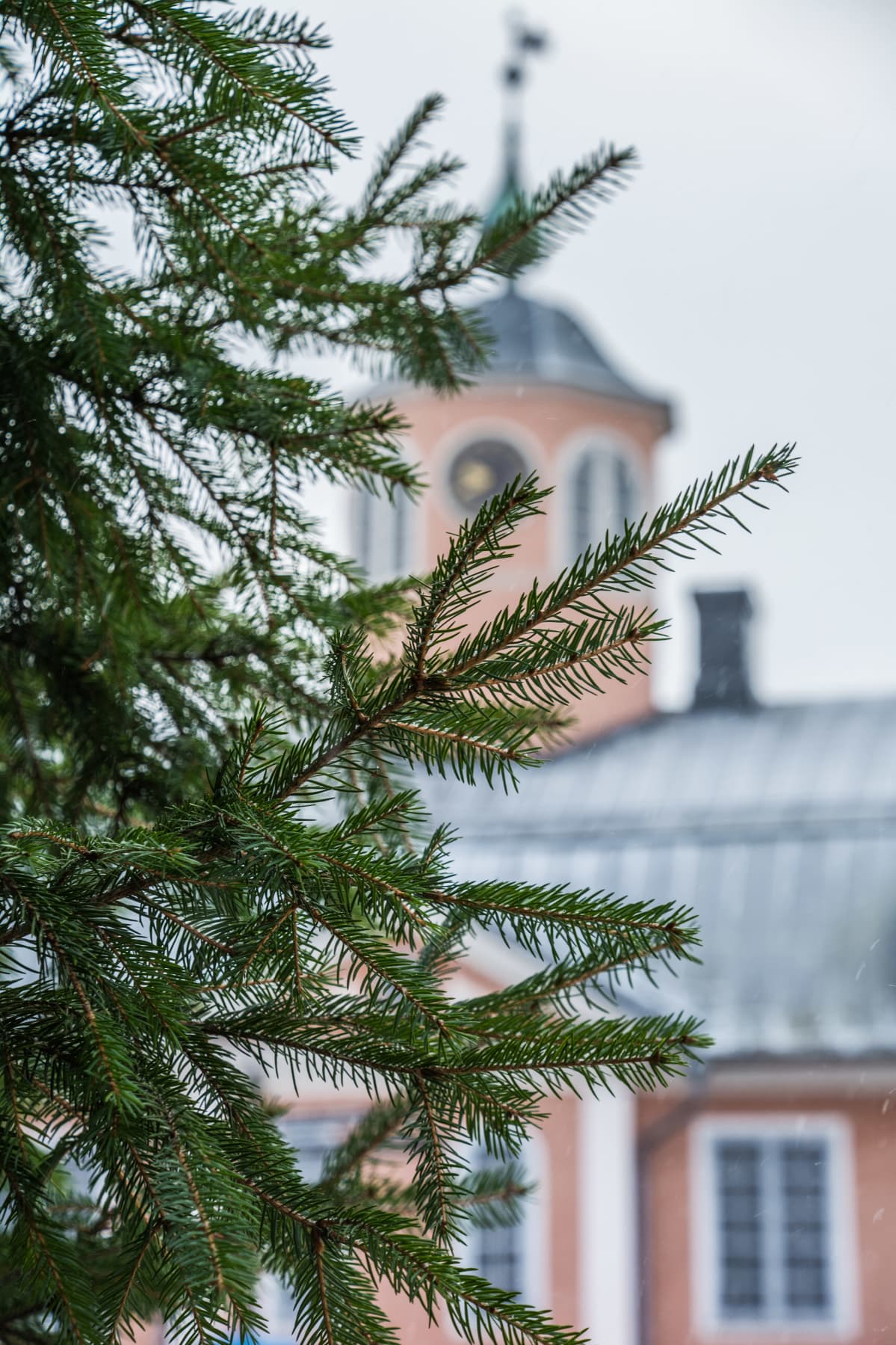 Julgran i förgrunden och rådhus i bakgrunden