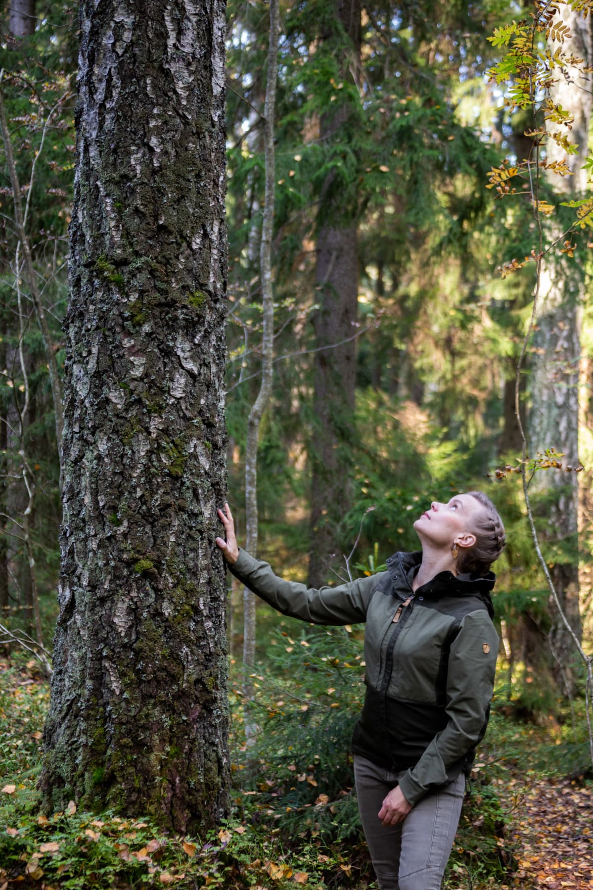 Tietokirjailija ja eläinaktivisti Mia Takula Paloheinän aarniometsässä.