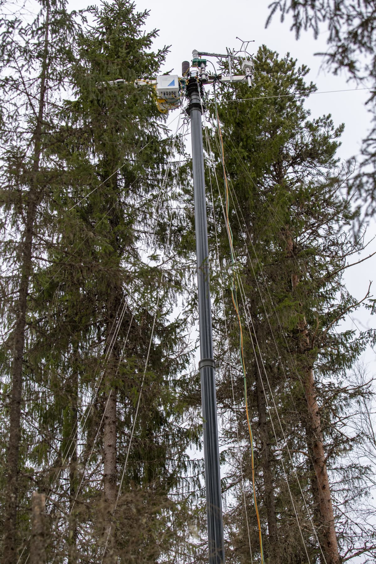 Hiilidioksidin mittauslaitteisto paikka Ränskälänkorpi Asikkalassa.
