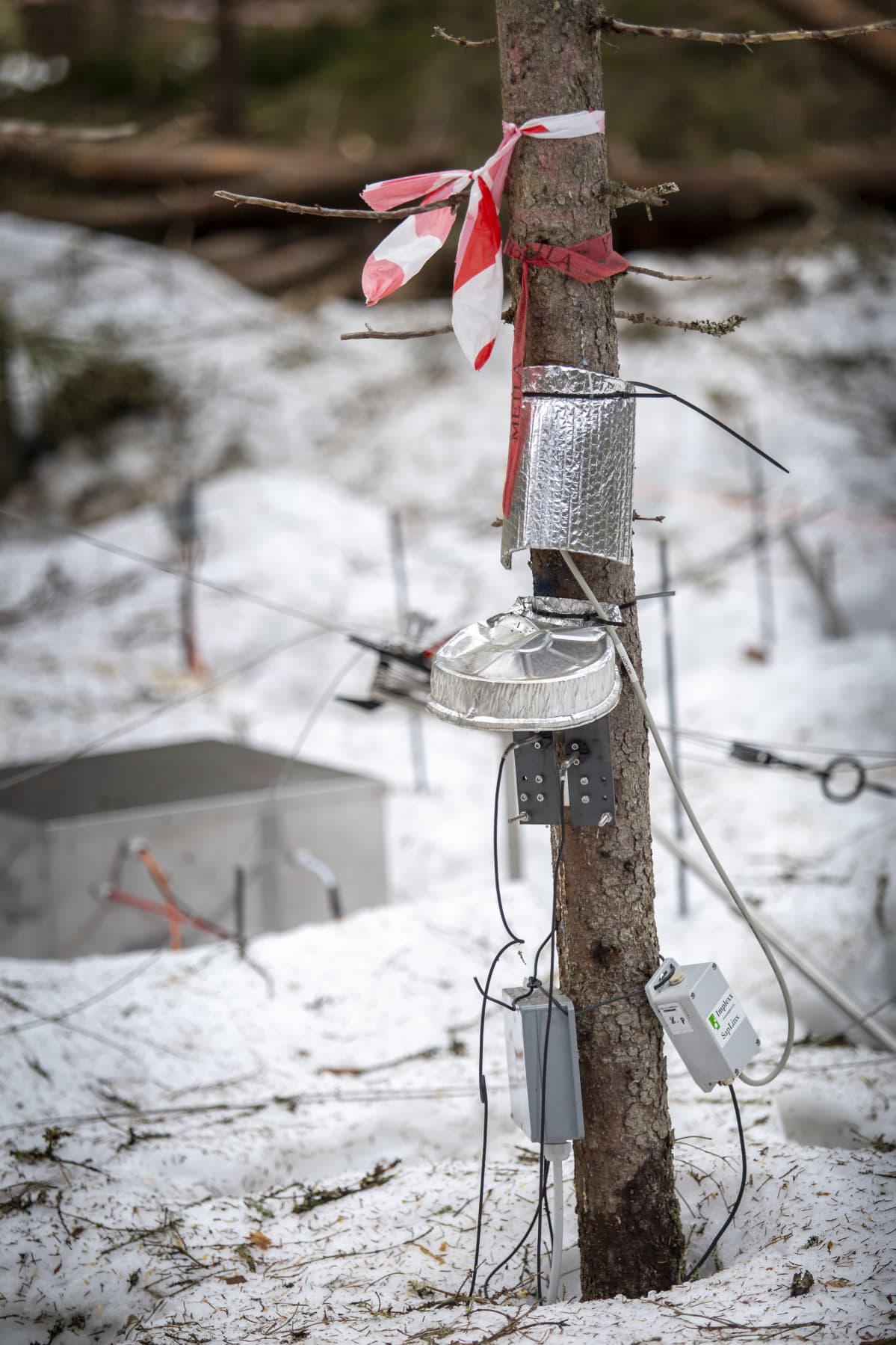 Puun paksuuden ja nestevirtausten mittalaite Ränskälänkorpi Asikkala.