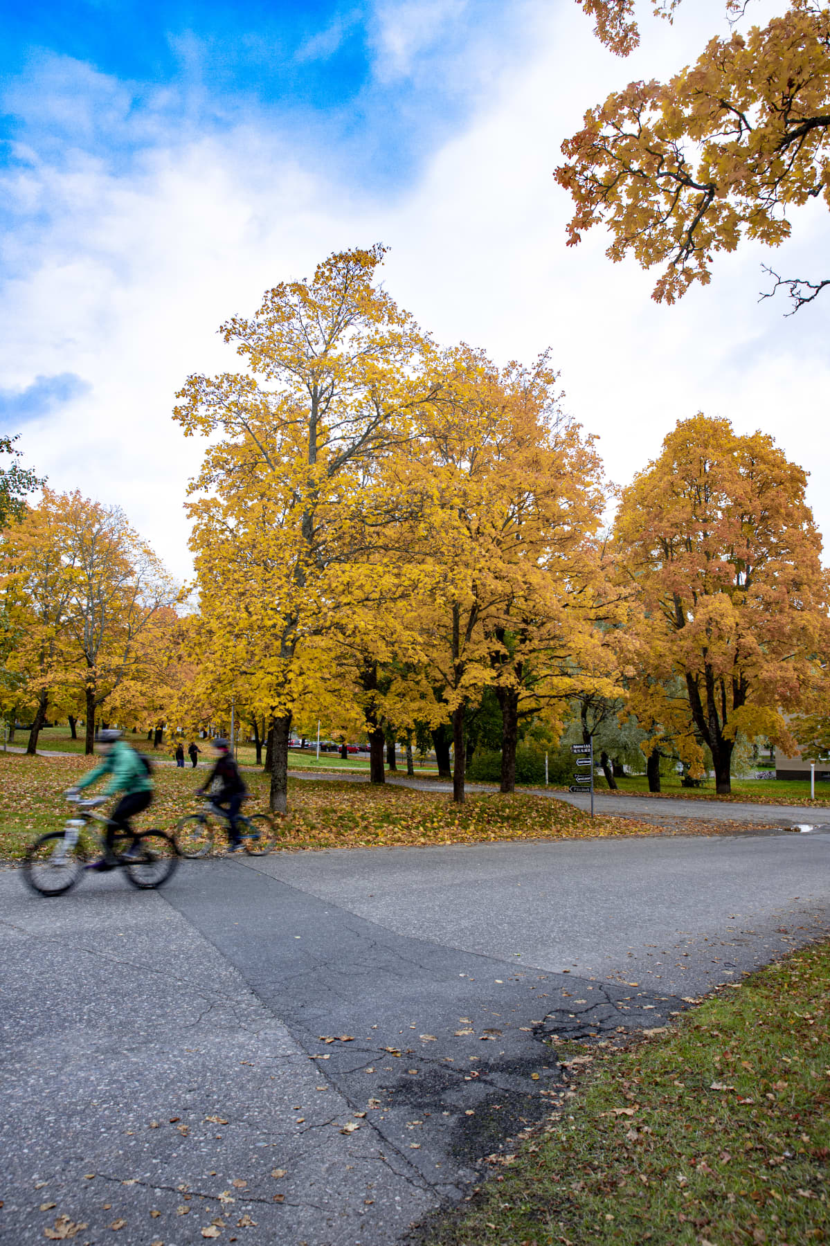 Pyöräilijöitä Lappeenrannan Rakuunamäellä.