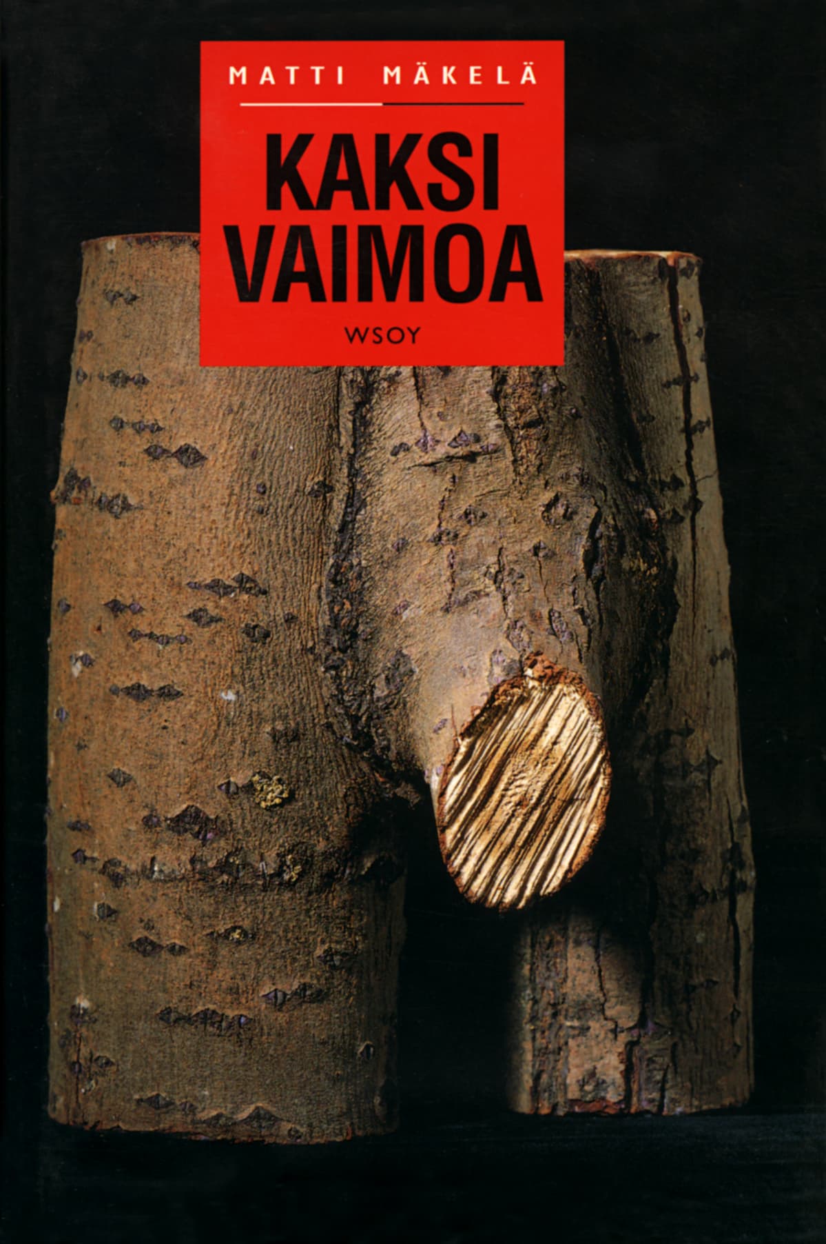 1995_Matti Mäkelä: Kaksi vaimoa kirjankans