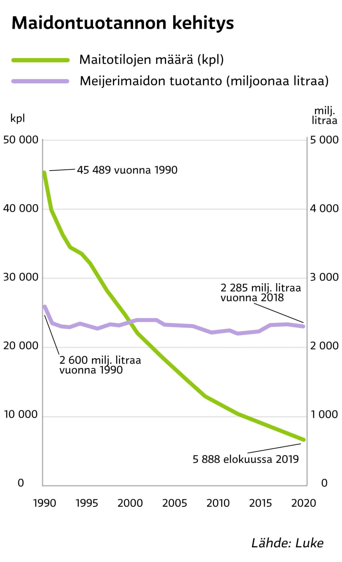 Infografiikka maitotilojen määrän kehityksestä ja maidontuotannosta. Maitotilojen määrä on laskenut rajusti vuodesta 1990 vuoteen 2019. Maidontuotanto on pysynyt suunnilleen samalla tasolla.