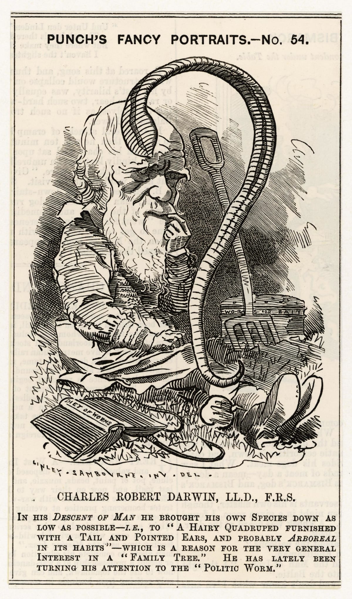 Pilakuva Charles Darwinista