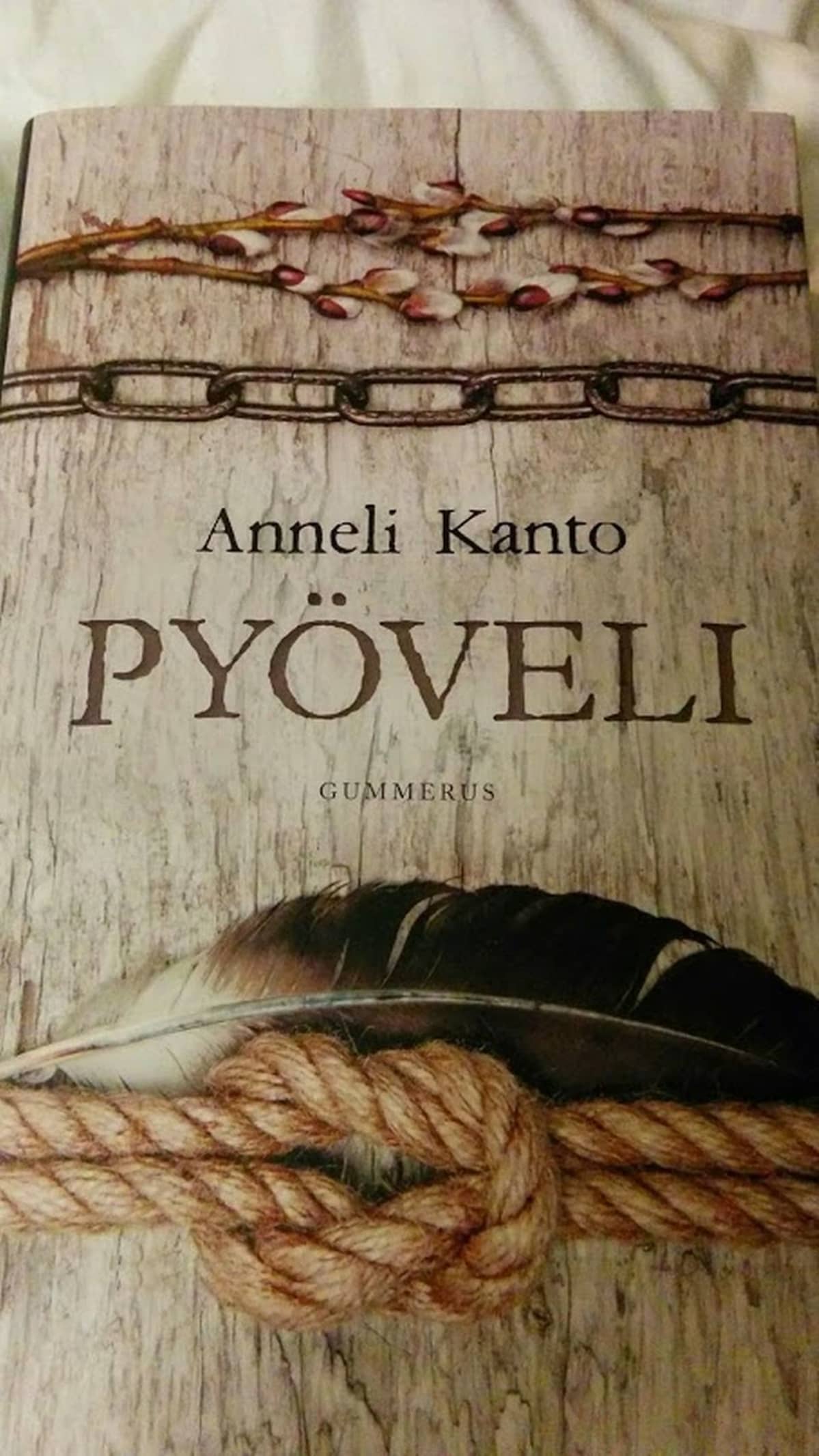 Anneli Kannon historiallinen romaani Pyöveli
