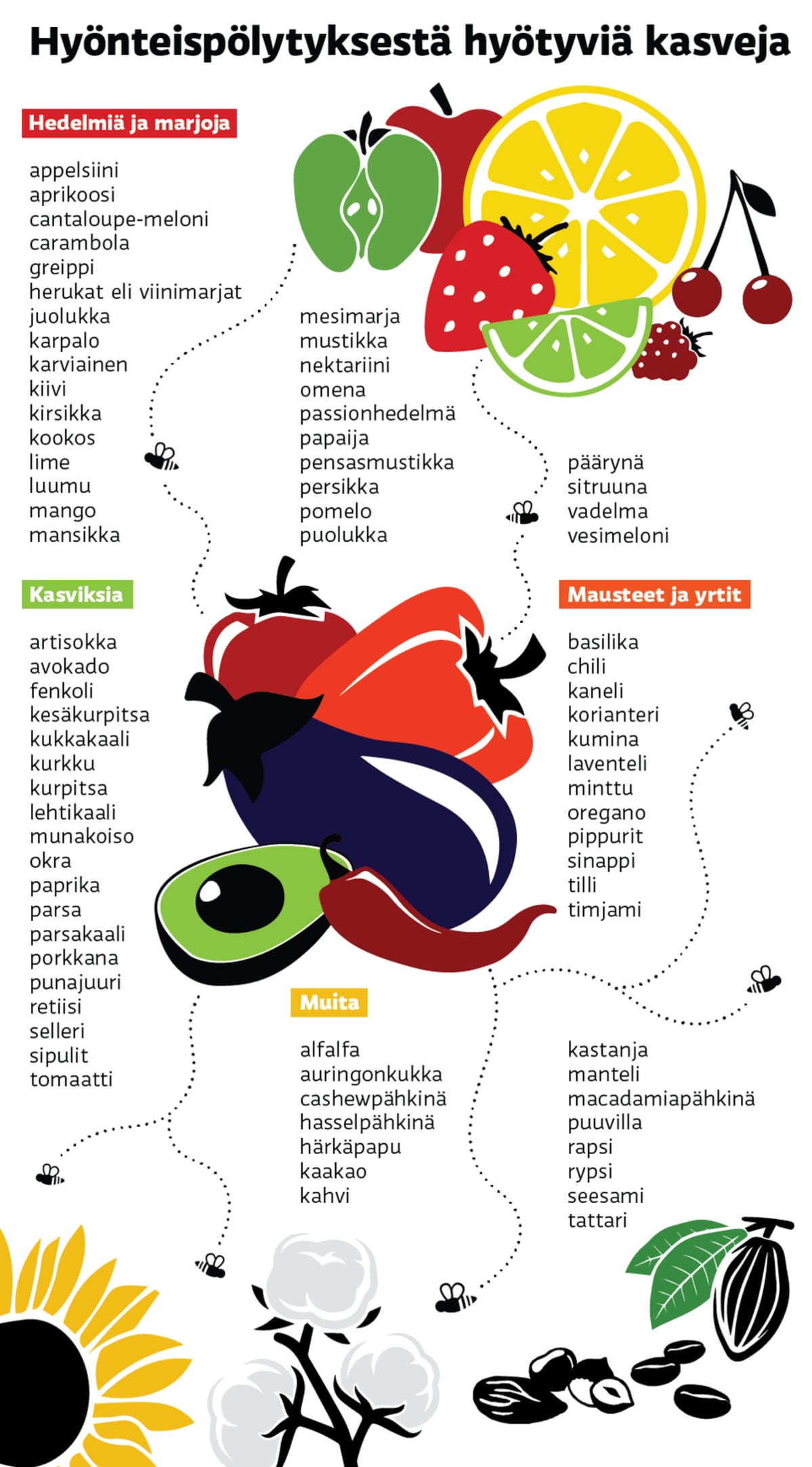 Julian porno Rios tähti