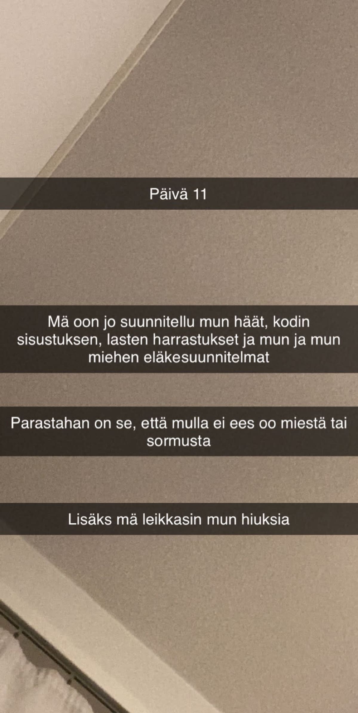 Kuvakaappaus koronapäiväkirjasta.