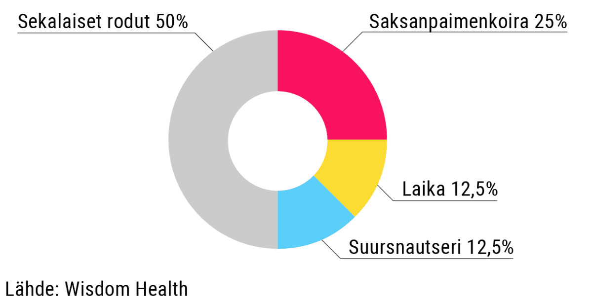 Koiran DNA-testin tulokset. Piirakkadiagrammi.
