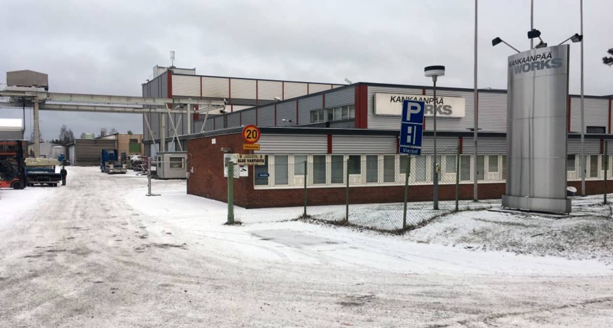 eebenpuu Syvä kurkku blowjobs