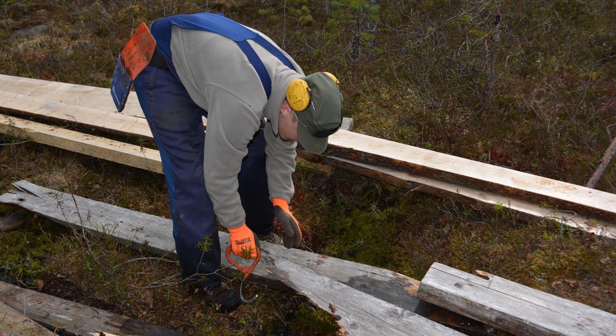Talkoolainen purkaa vanhoja pitkospuita Martimoaavan soidensuojelualueella Simossa.