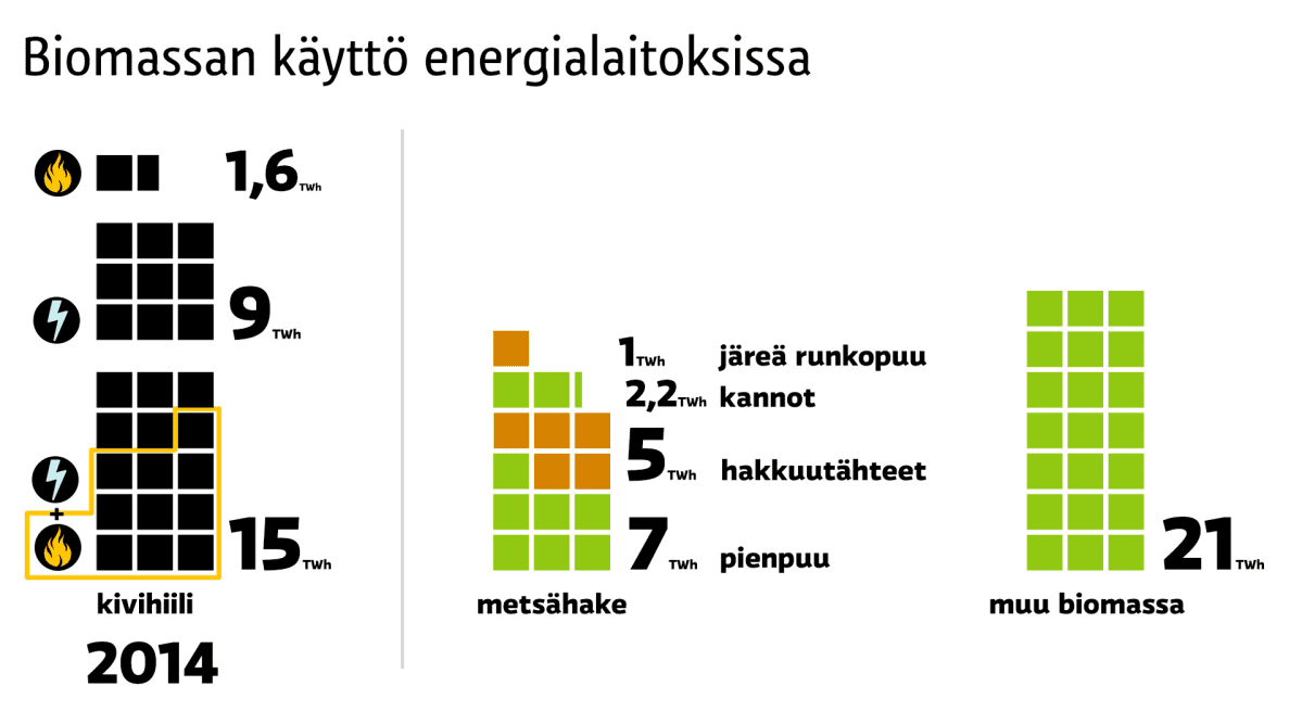 Biomassan käyttö energialaitoksissa