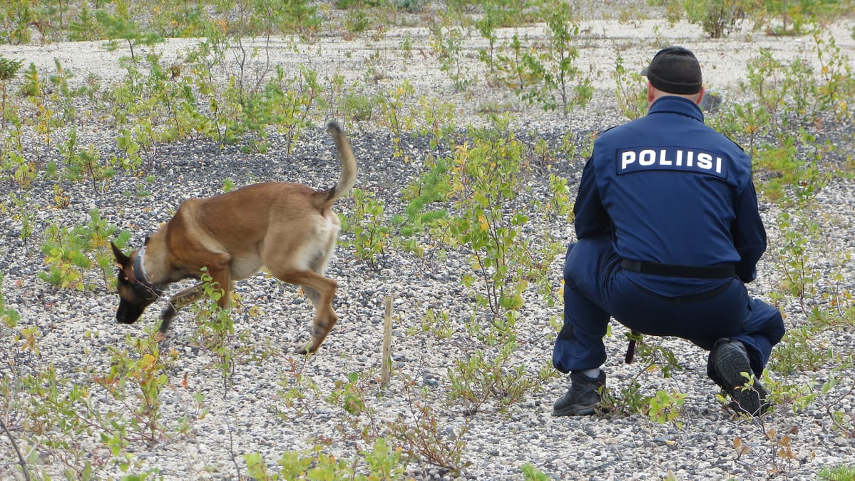 Kuvahaun tulos haulle poliisikoira