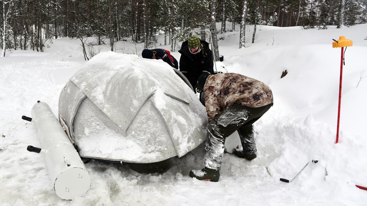 Kolme ihmistä saimaannorpan keinopesän ympärillä. Ympärillä näkyy metsää ja lunta.