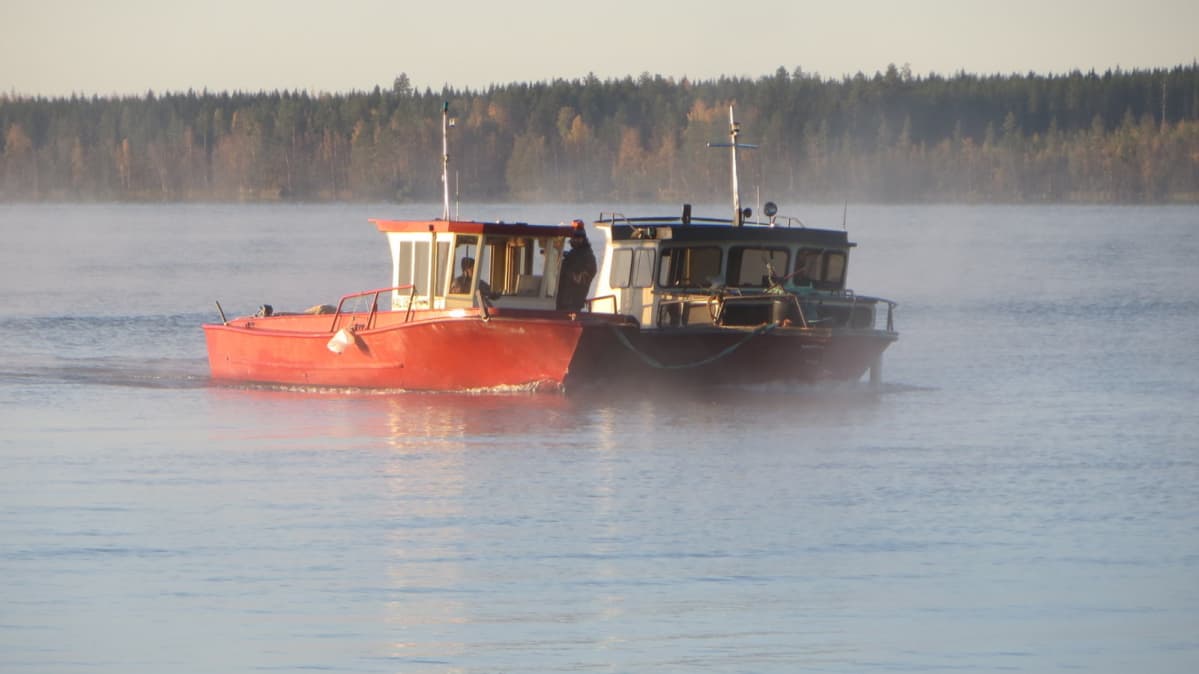 Puruvedellä mätisesonki alkaa hieman myöhemmin.
