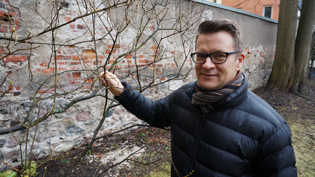 Puutarha-agronomi Timo Taulavuori.