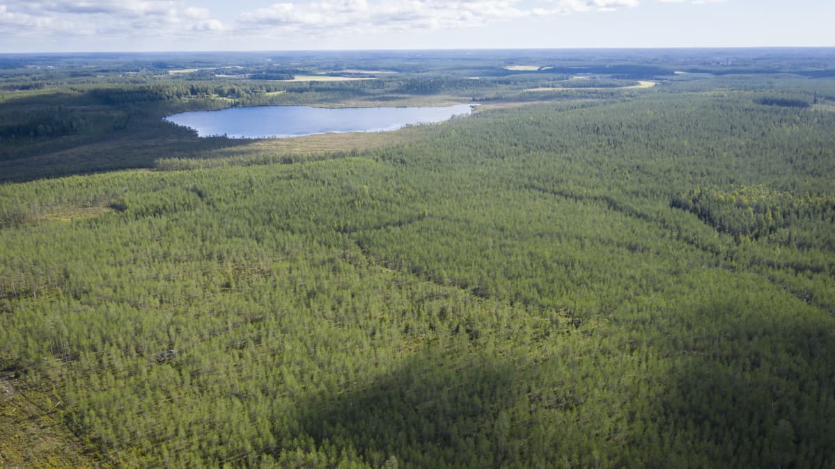Korkealta ilmasta kuvattua metsäistä maisemaa, jossa näkyy yksi järvi.