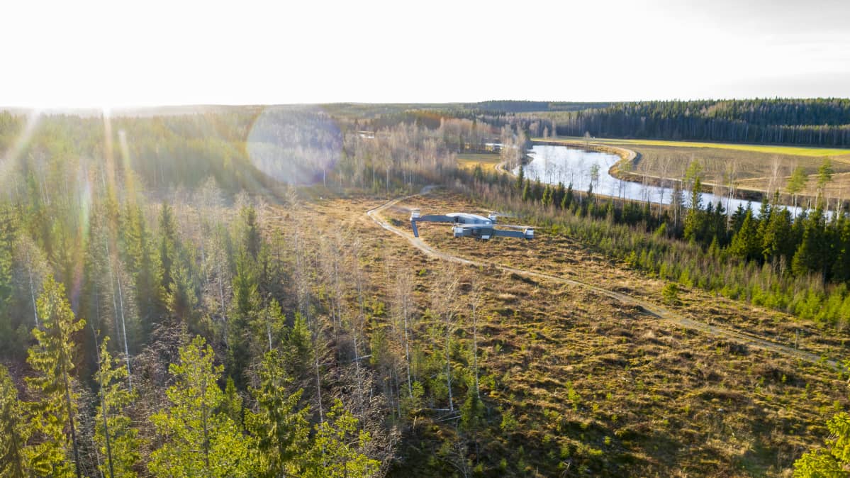 drone ilmassa maisema metsää ja taimi metsää