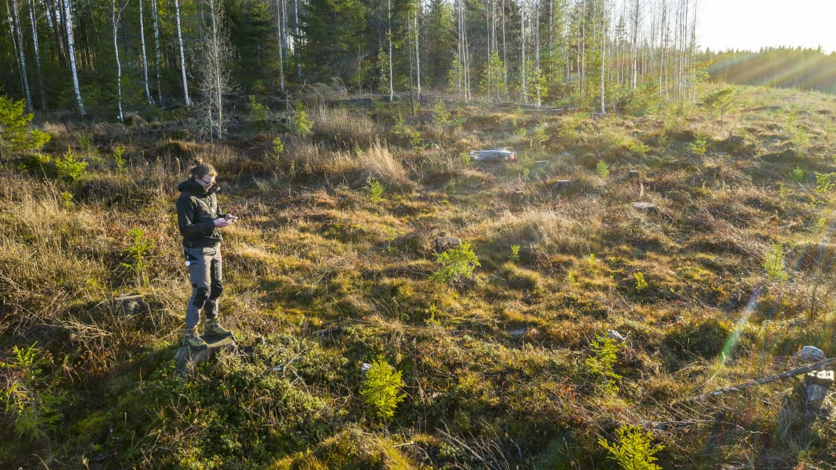 dronen lennättäjä lennättää dronea metsä aukealla