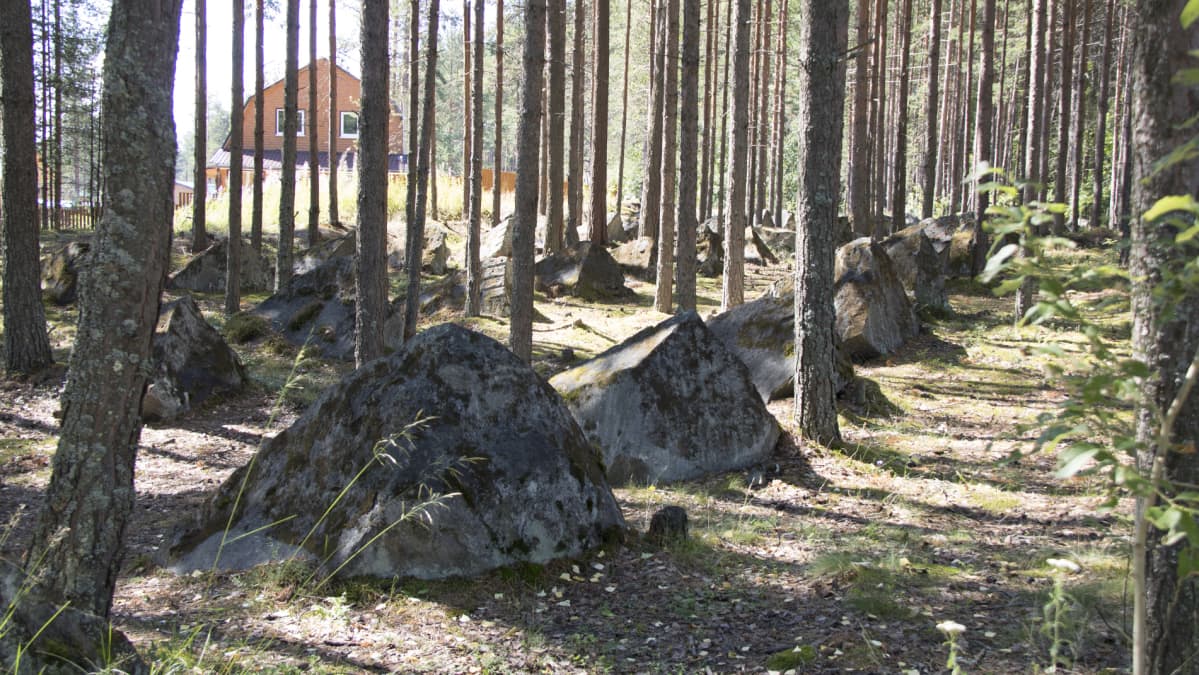 Panssarieste Karhumäessä