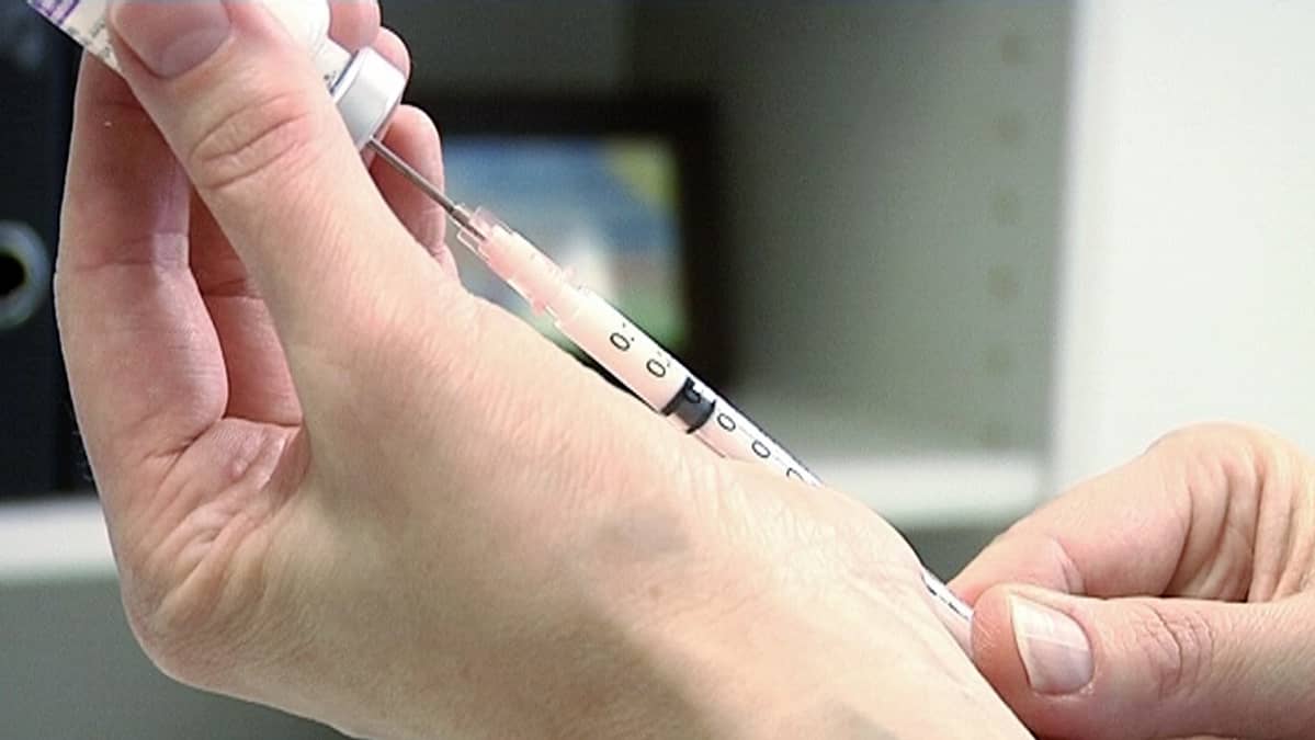 Sikainfluenssarokotetta valmistellaan.