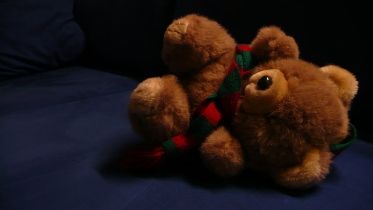 Teddy bear.