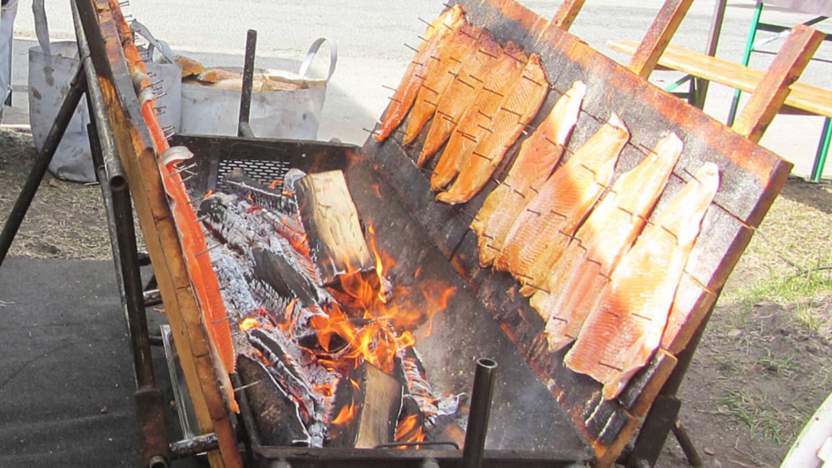 Kemin kalamarkkinat