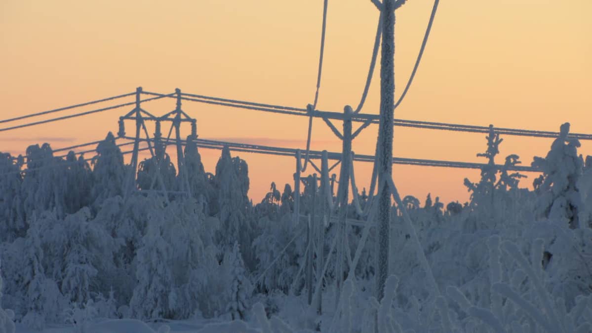 Kuurainen metsämaisema Puolangalla.