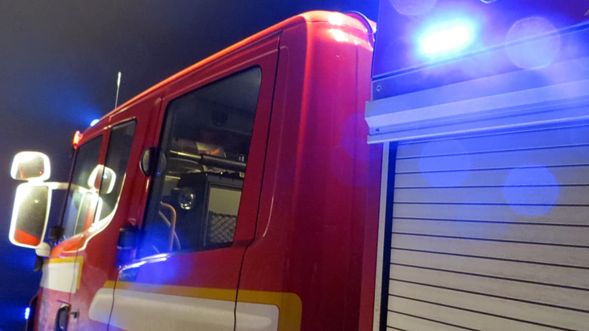 aurinkoinen Leone ottaa anaali seksiä