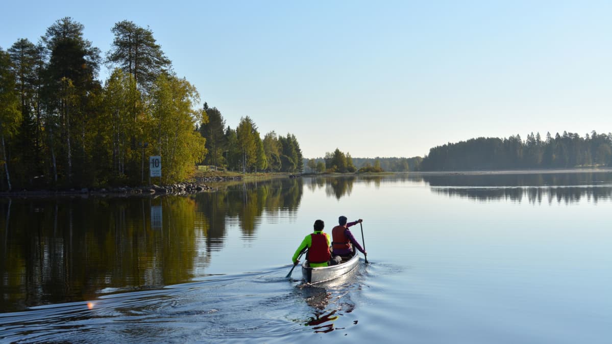 Kaksi ihmistä meloo kanootilla Kajaaninjoella.