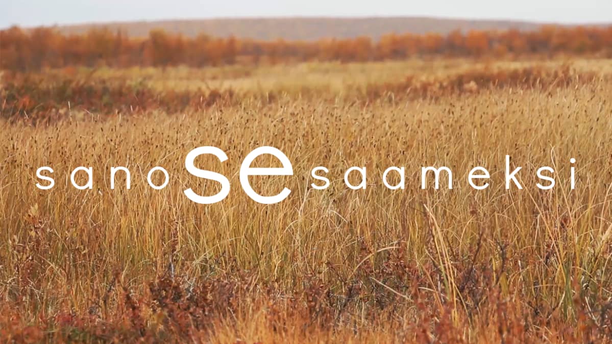 Sano se saameksi