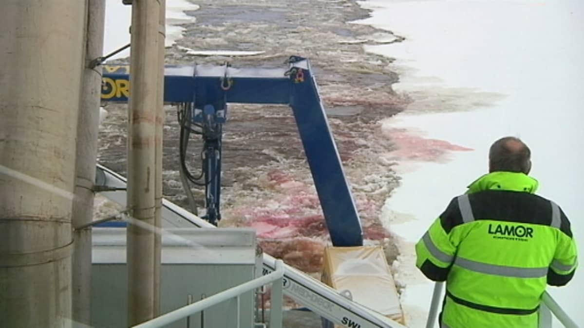 Ölyntorjuntaa tutkimus Perämeri