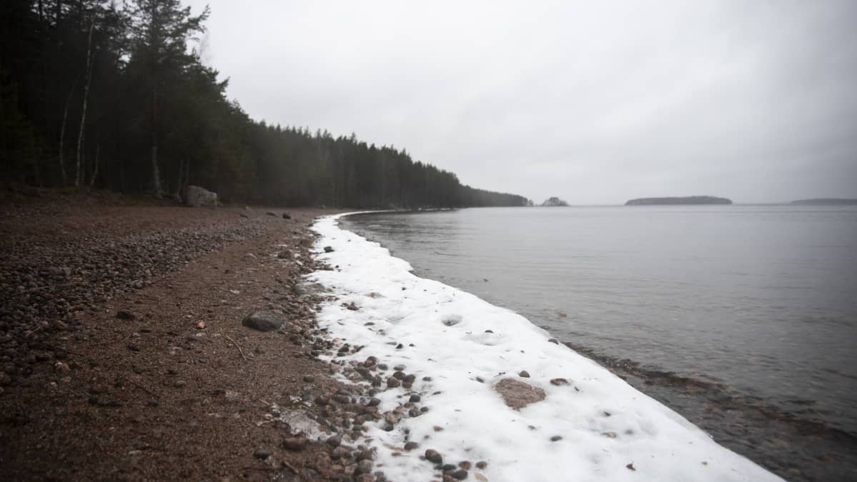 Sarviniemessä Saimaan rannalla.