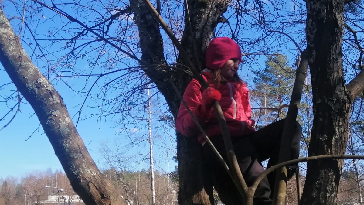Etäopetuksessa oleva Maiju Halme on kiivennyt välitunnilla puuhun