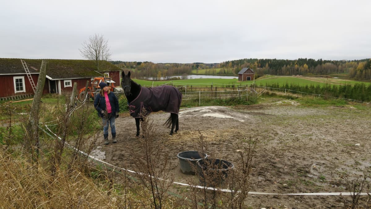Uudenmaan hevosenomistajien yhdistyksen puheenjohtaja Birgitta Mangström hevosensa kanssa.