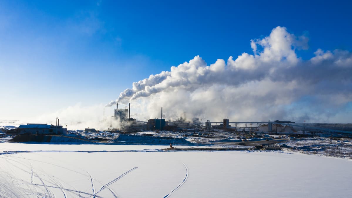 Ilmakuva Metsä Fibren Kemin tehtaista.