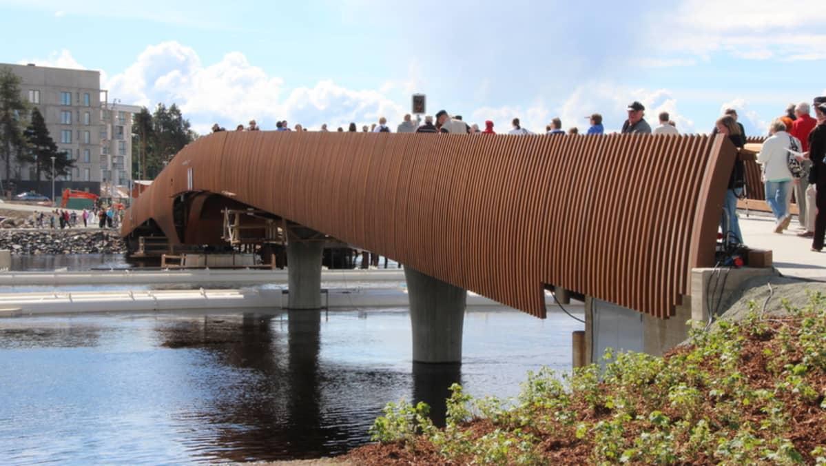 Image result for Ylisoutaja Bridge.