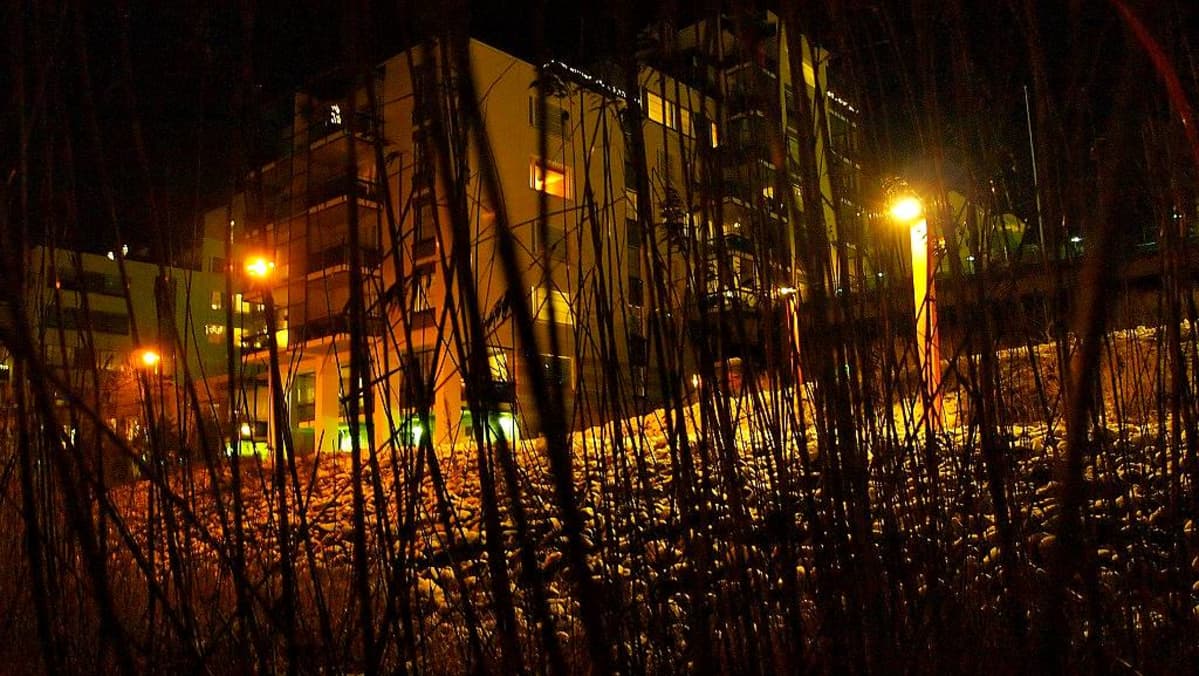 Ainolanrannan taloja iltavalaistuksessa.