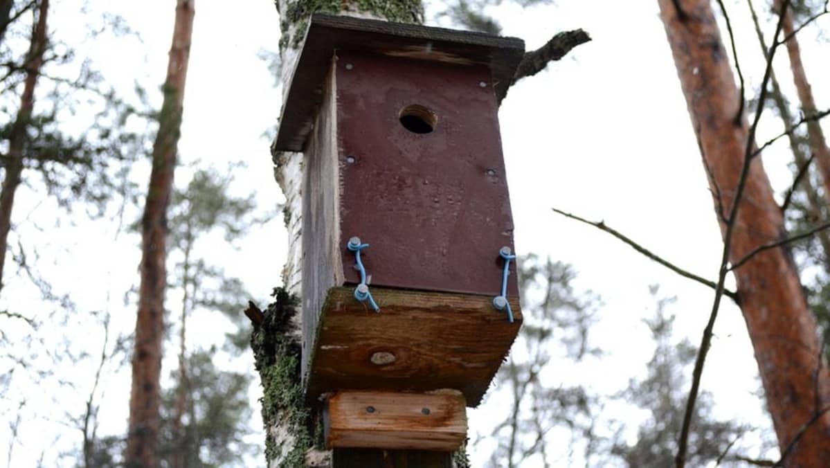 Pönttö olisi parempi puhdistaa pakkasella. Kuvaushetkellä lämpötila oli kuitenkin kevyesti plussan puolella.
