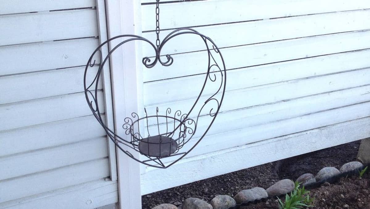 Sydämenmuotoinen kukka-amppeli valkoista aitaa vasten.