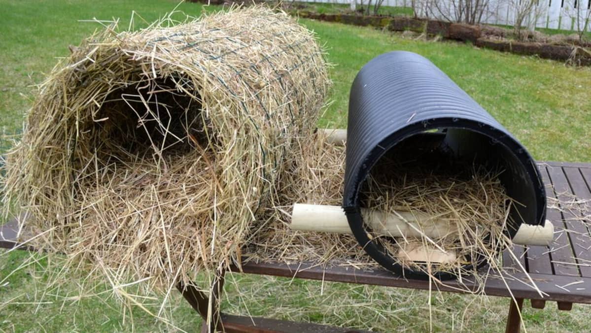 Kaksi erilaista sorsanpesää.