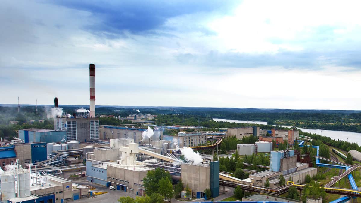 international paper svetogorsk