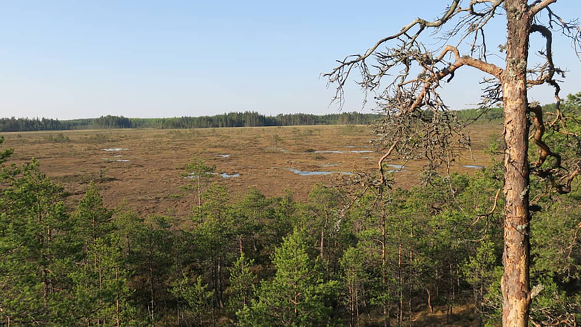 Valkmusan kansallispuisto