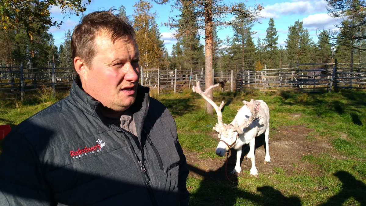 Ohjelmapalveluyrittäjä Uule-Niiles Sara