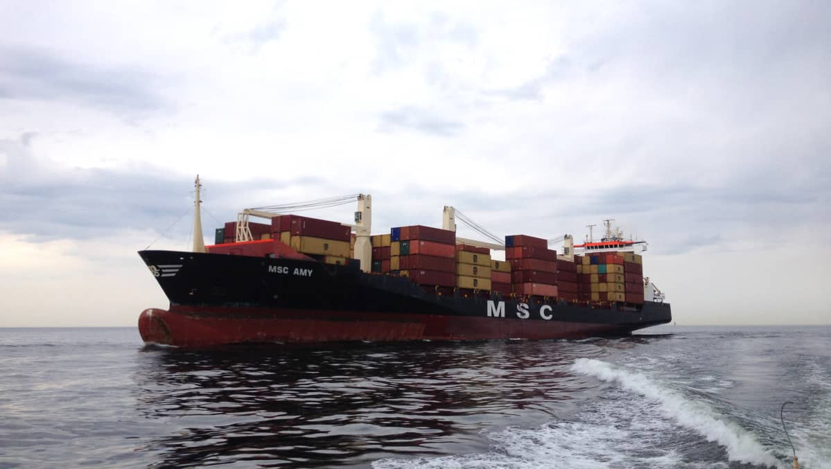 MSC Amy