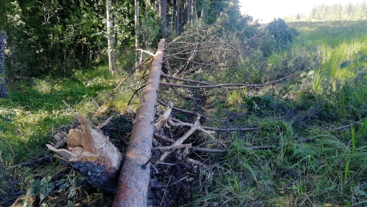 Ulosajon jälkiä