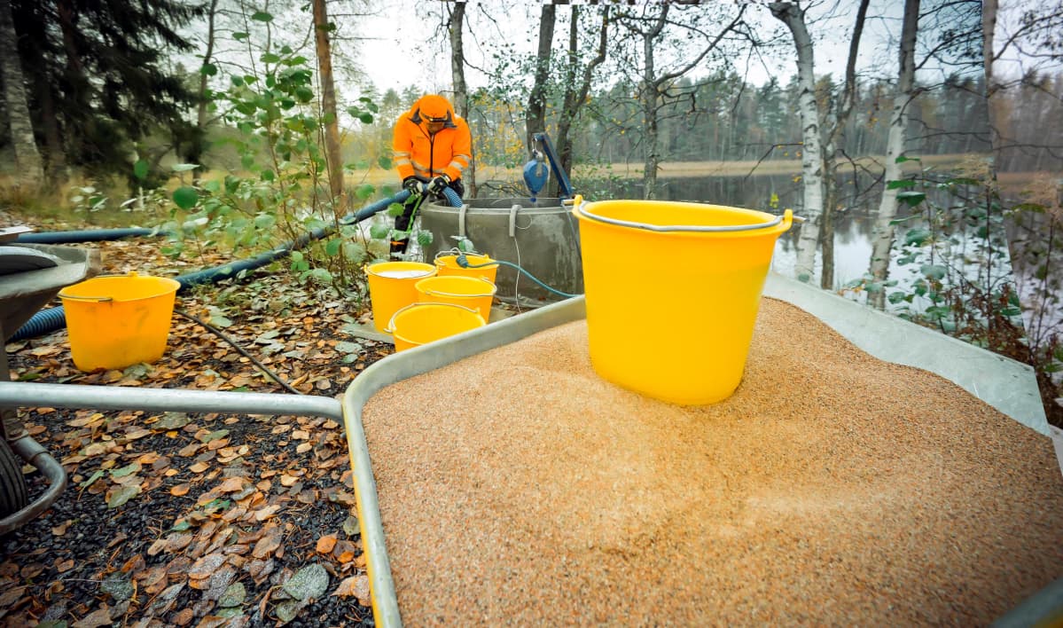 Kottikärryissä puhdasta suodatushiekkaa