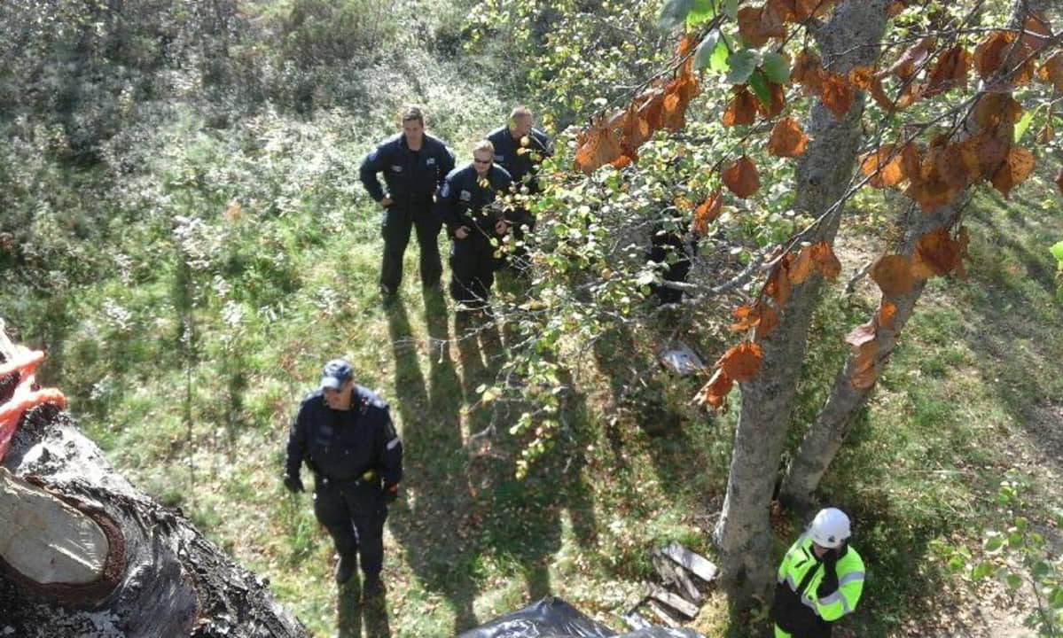 Poliiseja puusta kuvattuna Hanhikiven ydinvoimalatyömaalla Pyhäjoella